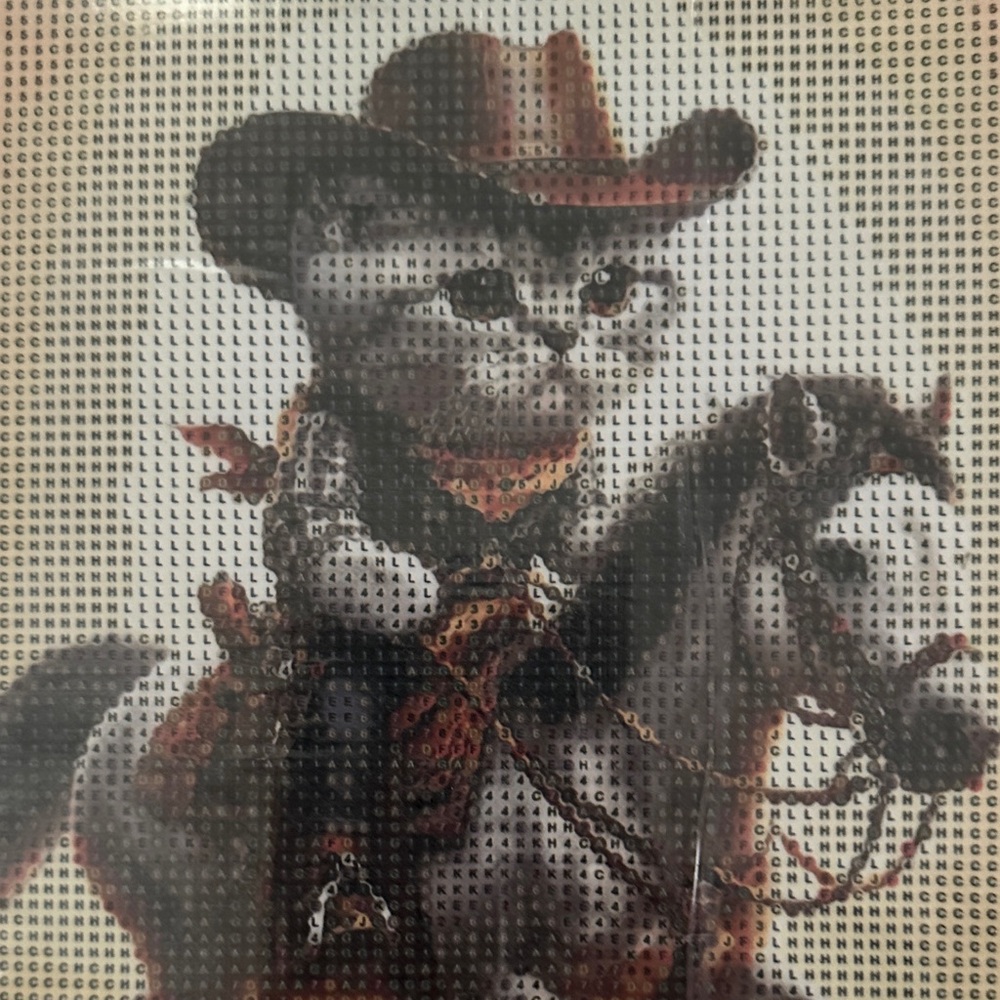Host Support Diamond Art Kit Cowboy Cat and All You Need with KIT. PL370